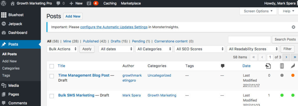 using wordpress blog posts
