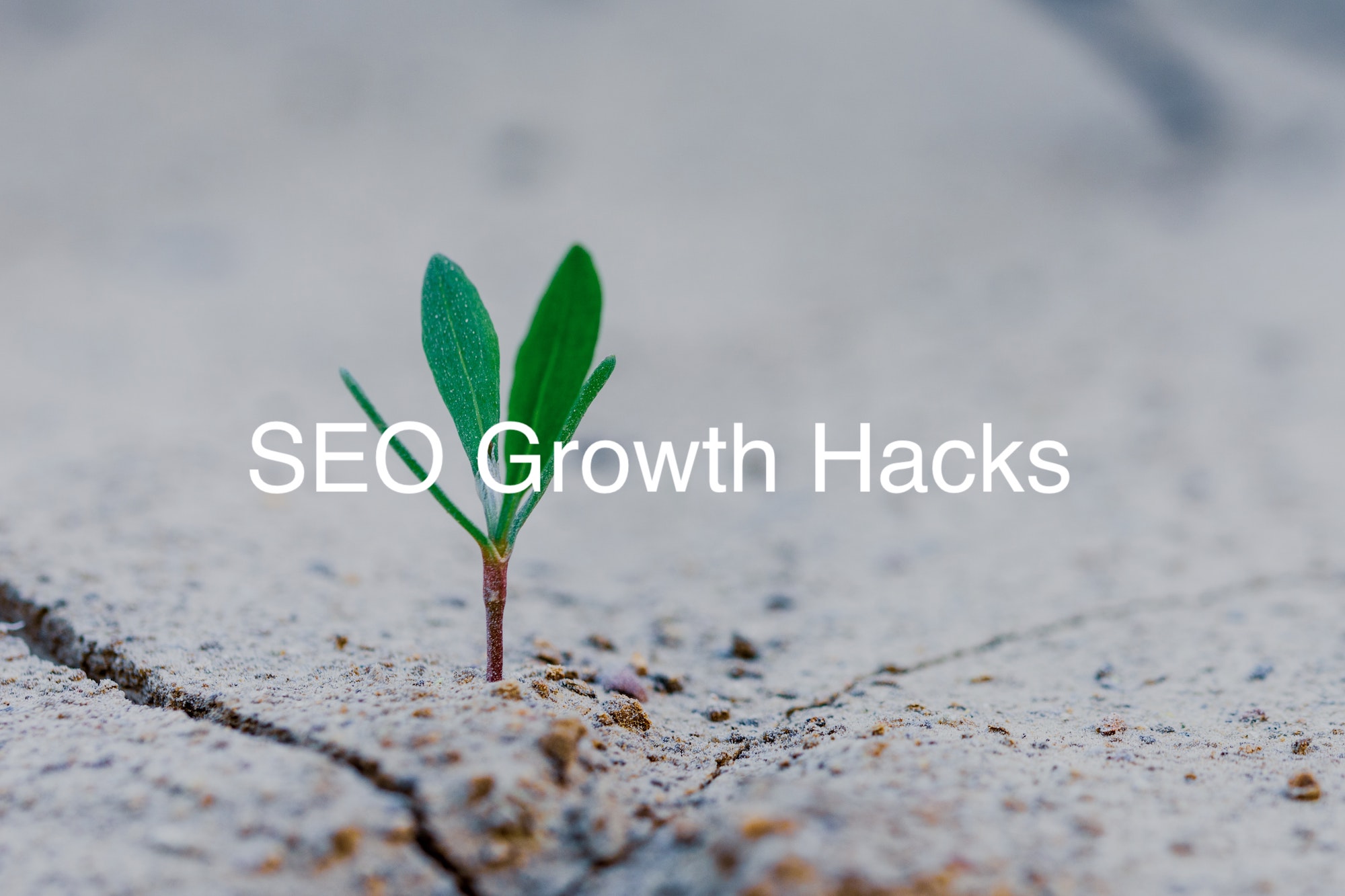 SEO Hack to get competitor's users and grow your traffic