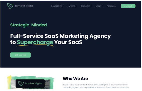 Bay Leaf Digital homepage